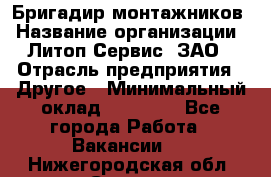 Бригадир монтажников › Название организации ­ Литоп-Сервис, ЗАО › Отрасль предприятия ­ Другое › Минимальный оклад ­ 23 000 - Все города Работа » Вакансии   . Нижегородская обл.,Саров г.